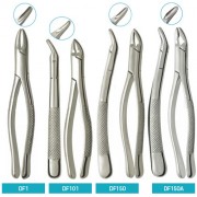 덴티안 발치 포셉