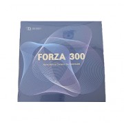 포르자 300 (하이브리드)-300파스칼